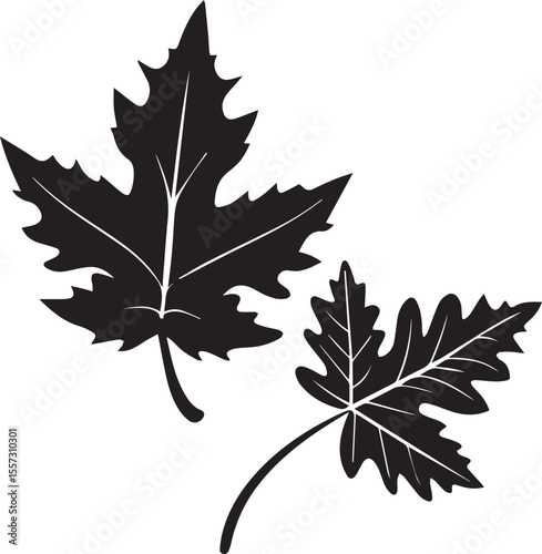 set of autumn leaves, fall leaves silhouette vector set, fall leaves silhouette vector illustration