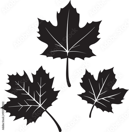 set of autumn leaves, fall leaves silhouette vector set, fall leaves silhouette vector illustration