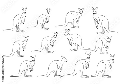 Line Art Repeating Kangaroo Animal Background Pattern Illustration
