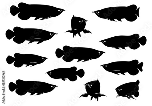 Silhouette Tropical Arowana Fish School Swimming Wildlife Freshwater Animal Illustration