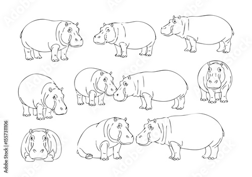 Handdrawn Dotted Line Silhouette Hippopotamus Animal Cute Wildlife Illustration