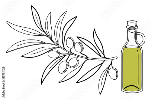 Olive oil bottle line drawing organic cooking minimalist kitchen art