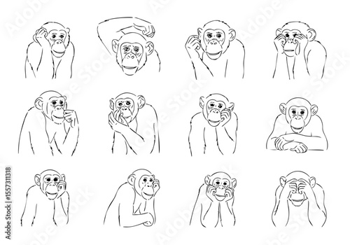 Detailed Line Art Monkey Expressions Set Animal Illustration