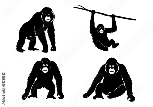 Detailed Black Silhouette Orangutan Collection of Different Poses Illustration
