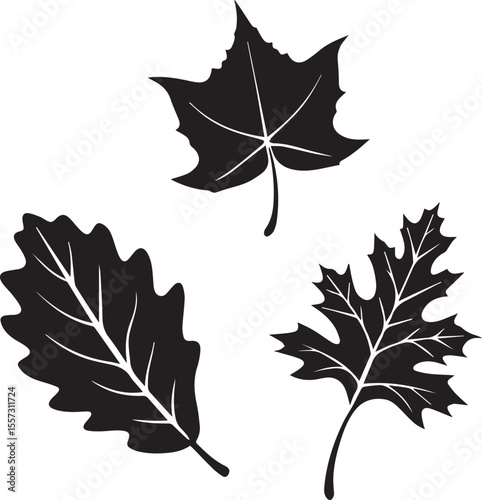 set of autumn leaves, fall leaves silhouette vector set, fall leaves silhouette vector illustration
