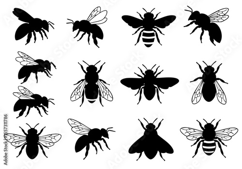 Silhouette Honeybee Insect Black and White Various Poses Illustration