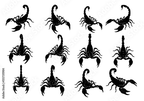 Detailed Silhouette Scorpion Collection of Various Poses Dangerous Animal Illustration
