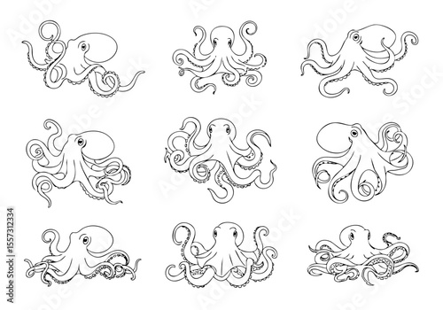 Handdrawn Simple Octopus Line Art Set Sea Creature Illustration