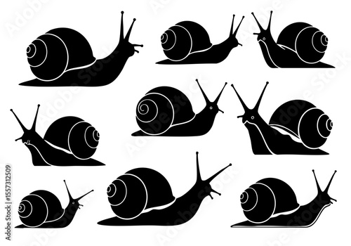 Simple Black and White Snail Silhouette Illustration with Multiple Angles and Sizes