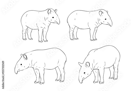 Black and White Line Art Tapir Simple Animal Illustration Set
