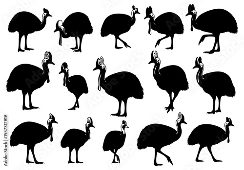 Silhouette Various Poses Cassowary Bird Animal Wild Life Graphic Set