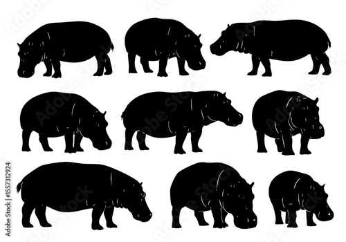 Silhouette Collection Hippopotamus Different Position African Wildlife Animal Illustration