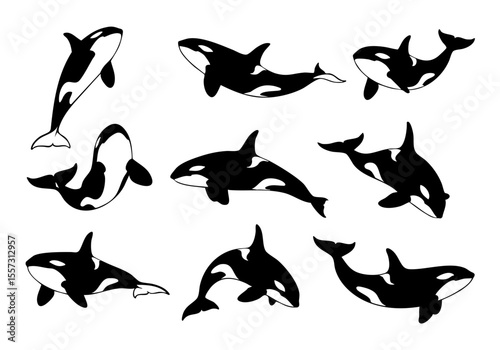 Simple Black and White Killer Whale Mammal Animal Line Art Illustration