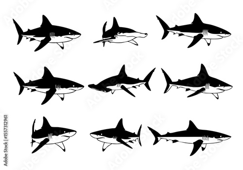 Handdrawn Different View Shark Silhouette Dangerous Marine Life Illustration