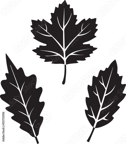 set of autumn leaves, fall leaves silhouette vector set, fall leaves silhouette vector illustration