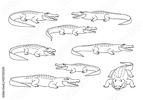 Handdrawn Outline Alligator and Crocodile Wildlife Illustration Group