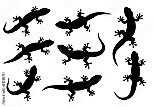 Silhouette Detailed Lizard Reptile Creature Variety Poses and Angles Illustration