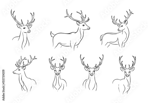 Detailed Outline Drawing of Reindeer with Antlers in Various Poses Illustration