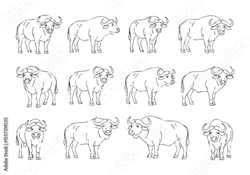 Minimalist Line Art Buffalo Herd Illustration Livestock Animal Wildlife