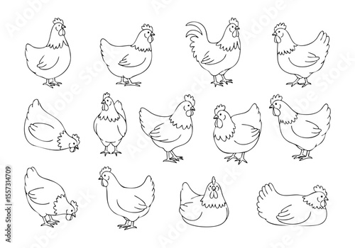 Simple Line Drawing Collection of Chicken Illustration Various Poses Style
