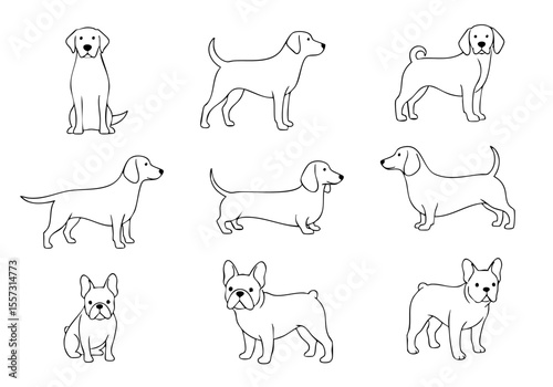 Simple Outline Line Art Different Dog Breed Animal Illustration