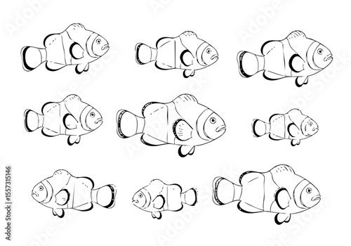 Handdrawn Outline Various Size Clownfish Aquatic Animal Marine Life Illustration
