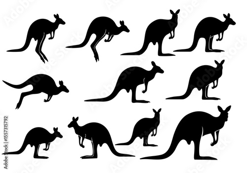 Collection Silhouette Kangaroo Jumping Mammal Australia Wildlife Animal Set Illustration