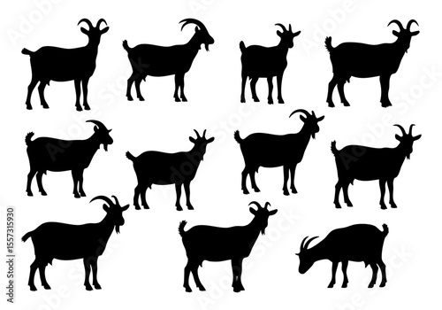 Minimalist Silhouette Goat Farming Mammal Animal Graphic Black and White Illustration
