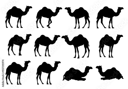 Silhouette Various Poses Camel Seamless Repeating Pattern Illustration