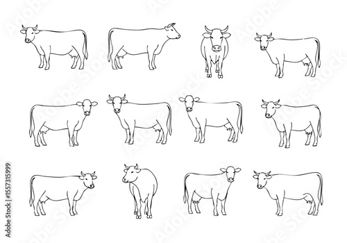 Sketchy Detailed Livestock Cow Cattle Farm Animal Line Art Illustration