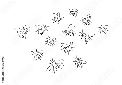 Line Art Swarm of Bees Flying Insect Animal Illustration