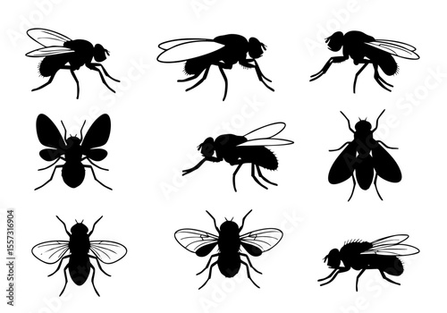 Silhouette Collection of Detailed Housefly Flying and Standing Insect Icon