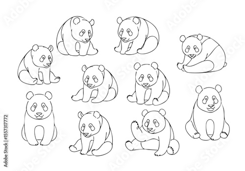 Sketch Adorable Panda Bear Cub Collection Line Art Illustration
