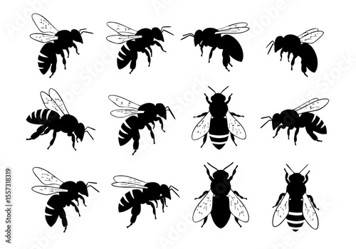 Simple Silhouette Black and White Bee Insect Animal Collection Set
