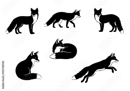 Black and White Silhouette Fox Illustration Set in Various Poses Wild Animal