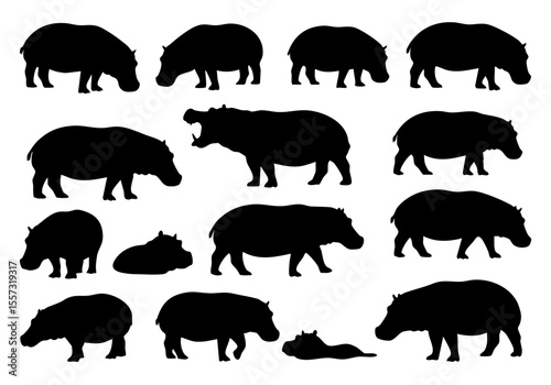 Detailed Silhouette Hippopotamus Jungle Animal Wildlife Illustration Element Set