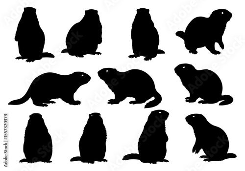 Silhouette Detailed Marmot Shape Illustration Mammal Various Poses Wild Animal Clipart