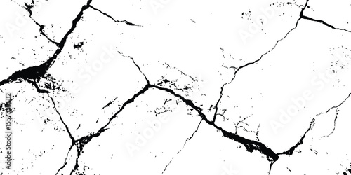 Black and white cracks illustration isolated on white background. A black and white vintage of cracked concrete scribble effect, old wall background crack vector, grunge texture,