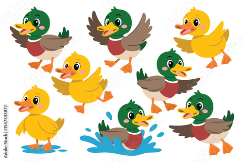 Cartoon Ducklings Animated Group of Swimming, Wading, and Flying Duck Characters on White