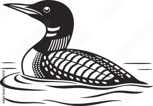 Vector art of common loon swimming in the water isolated on white background
