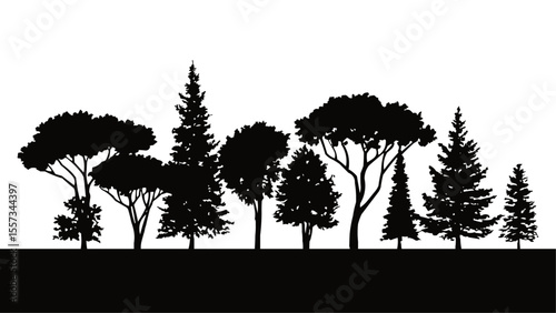 Silhouette of diverse forest trees on white background featuring various pine, fir, and deciduous tree shapes perfect for nature scenes, landscape design, environmental graphics, and outdoor art