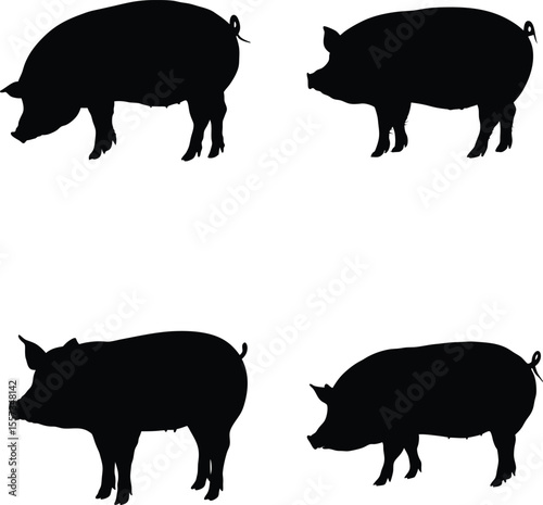 Pig silhouette vector set, farm animal icon, black and white graphic, livestock outline illustration, simple pig shape
