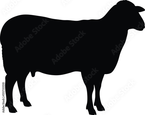 Sheep silhouette vector, farm animal icon, black and white livestock illustration, wool animal outline, minimal sheep drawing