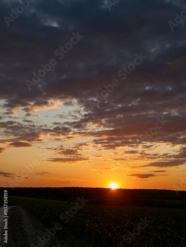 A dirt road in the middle of a field at sunset