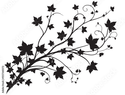 ivy vine silhouette vector, elegant black floral decorative border or corner design, isolated on white background vector
