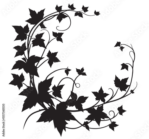 ivy vine silhouette, elegant decorative border and corner design element of leaves vector
