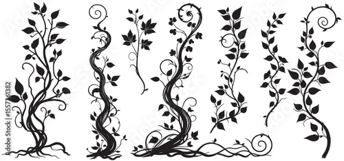 Jungle creeper silhouettes. Tropical forest lianas, rainforest hanging sprouts. Climbing liana vines flat set vector illustration