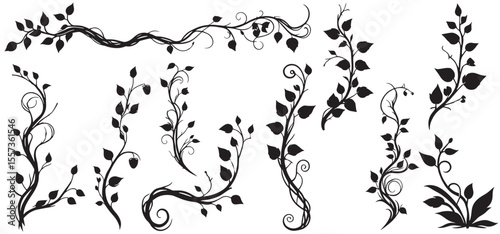 large selection of climbing hawthorn plants for ornament vector