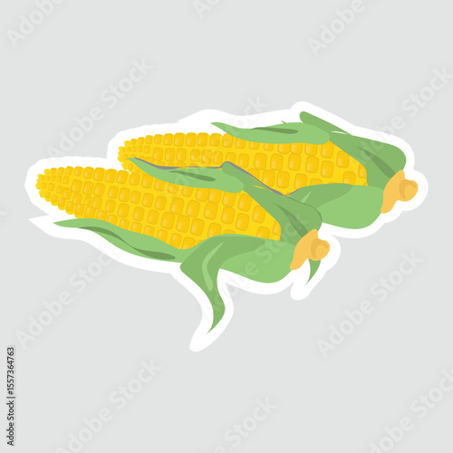 Corn Vector Illustration Sticker. A vibrant vector illustration of two corns with green husks. Perfect for food-related designs, healthy eating themes, and farm-inspired projects