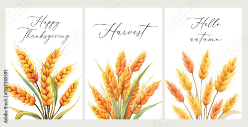 Watercolor greeting cards with golden wheat ears. Hello autumn, Happy Thanksgiving, I will harvest. Concept of harvest and autumn. Vector illustration.
